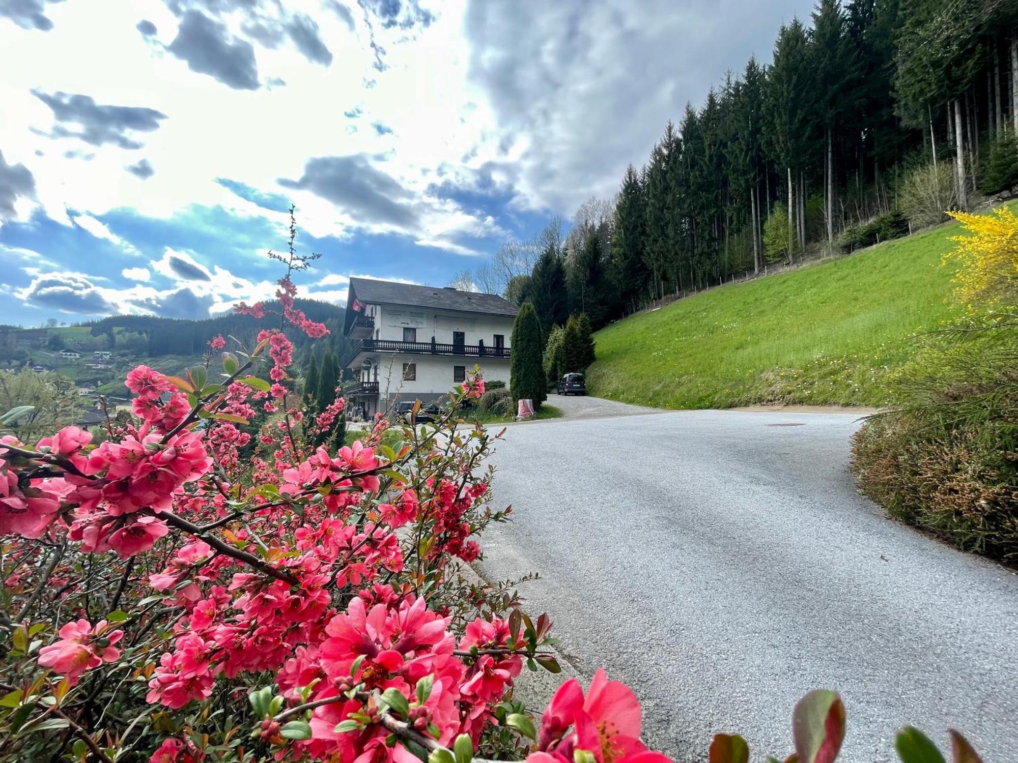 Alpenpension Gasthof راتتن المظهر الخارجي الصورة